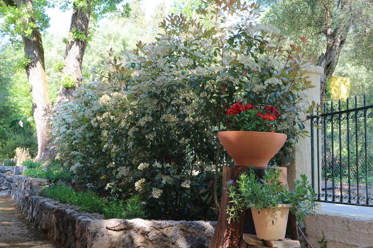 Villa Magia Ipsos Exterior photo